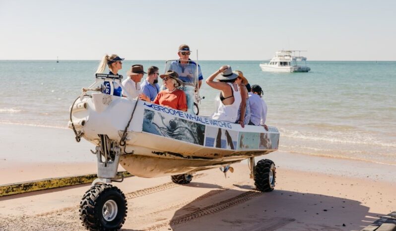 BROOME WHALE WATCHING full
