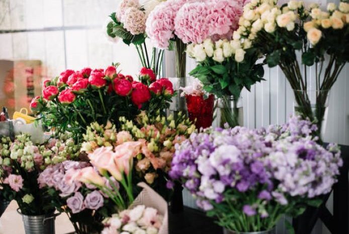 LOTTERYWEST / NEWS / FRESH FLOWERS full