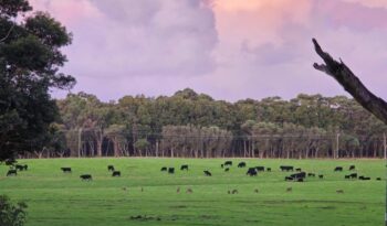 40 ACRE RESORT FROM HEAVEN – LEASEHOLD OPPORTUNITY full