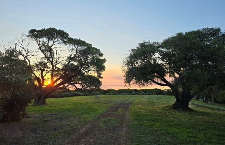 40 ACRE RESORT FROM HEAVEN – LEASEHOLD OPPORTUNITY full