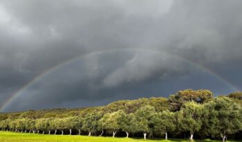 40 ACRE RESORT FROM HEAVEN – LEASEHOLD OPPORTUNITY full