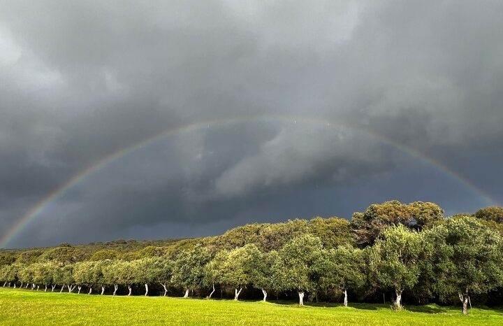 40 ACRE RESORT FROM HEAVEN – LEASEHOLD OPPORTUNITY full