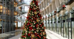 CHRISTMAS DECORATION RENTAL BUSINESS